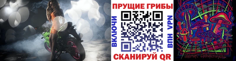 мега ссылка  как найти наркотики  Сухиничи  Галлюциногенные грибы Magic Shrooms 